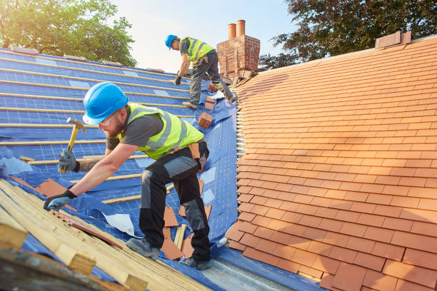 Best Green or Eco-Friendly Roofing Solutions  in Buhl, ID